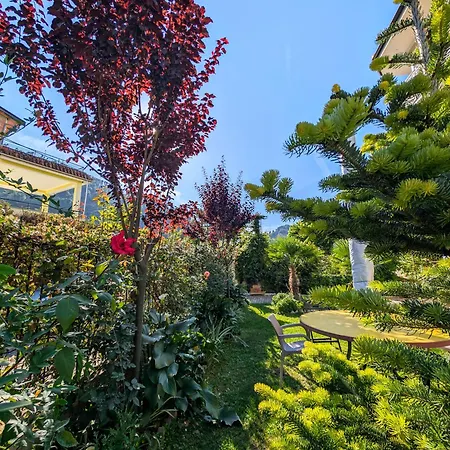Lejlighed With Garden And Balcony